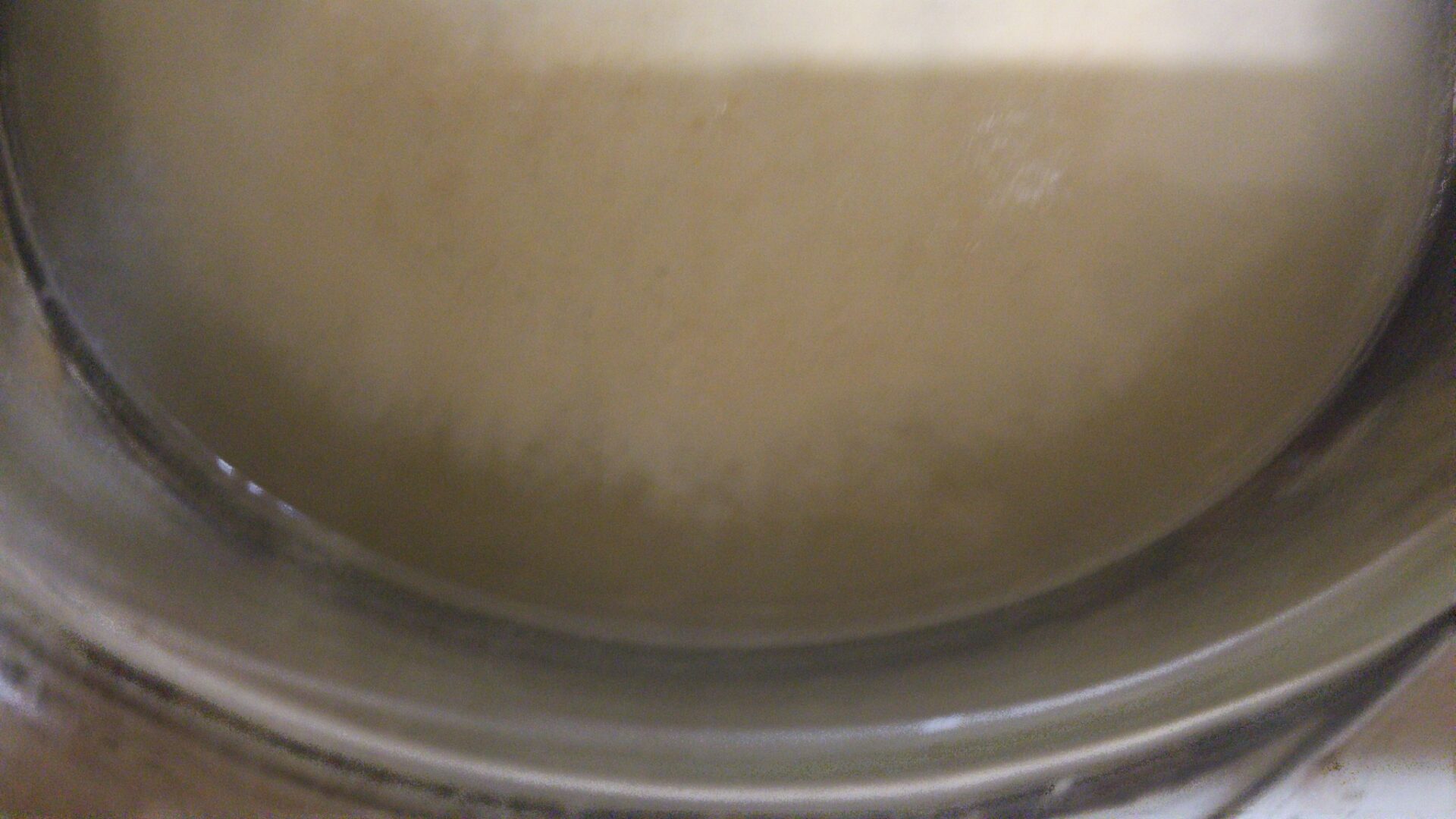 Baker’s Yeast